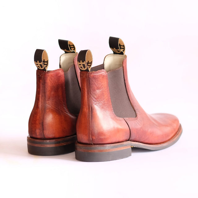 Pair of brown leather Chelsea boots on a white background - back
