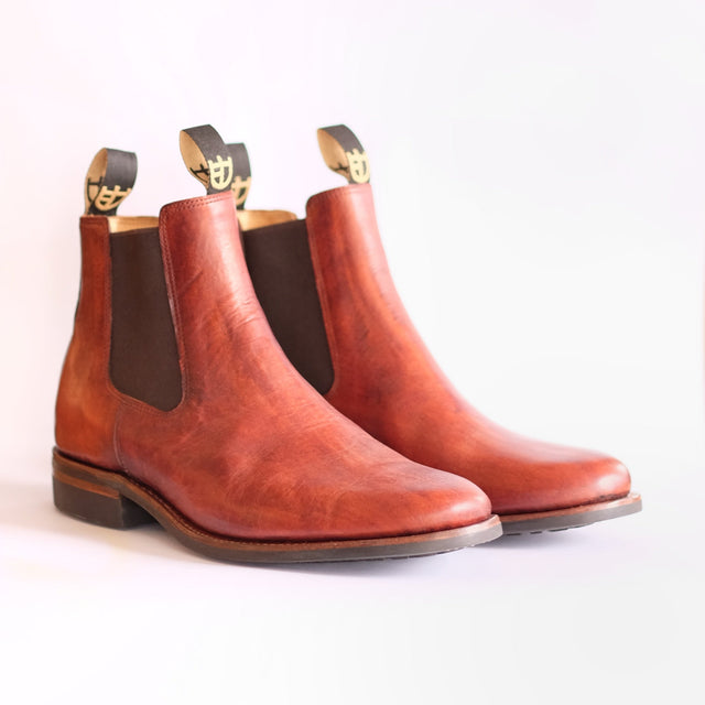 Pair of brown leather Chelsea boots on a white background - front